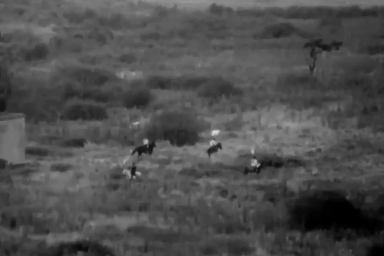 El peronismo y la Tercera Posición en la multipolaridad